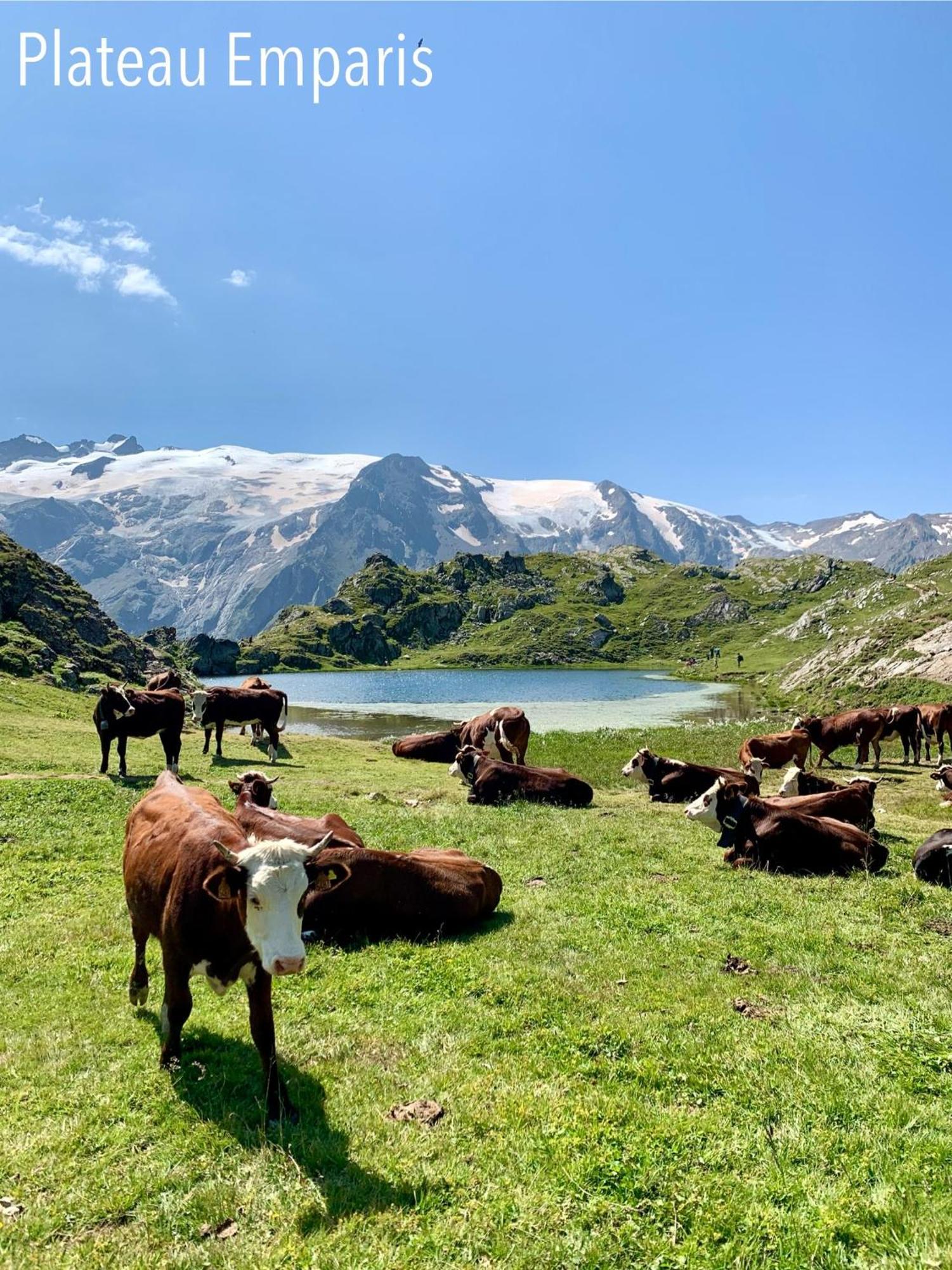 Le Dune Logement Le Bourg-dʼOisans Kültér fotó